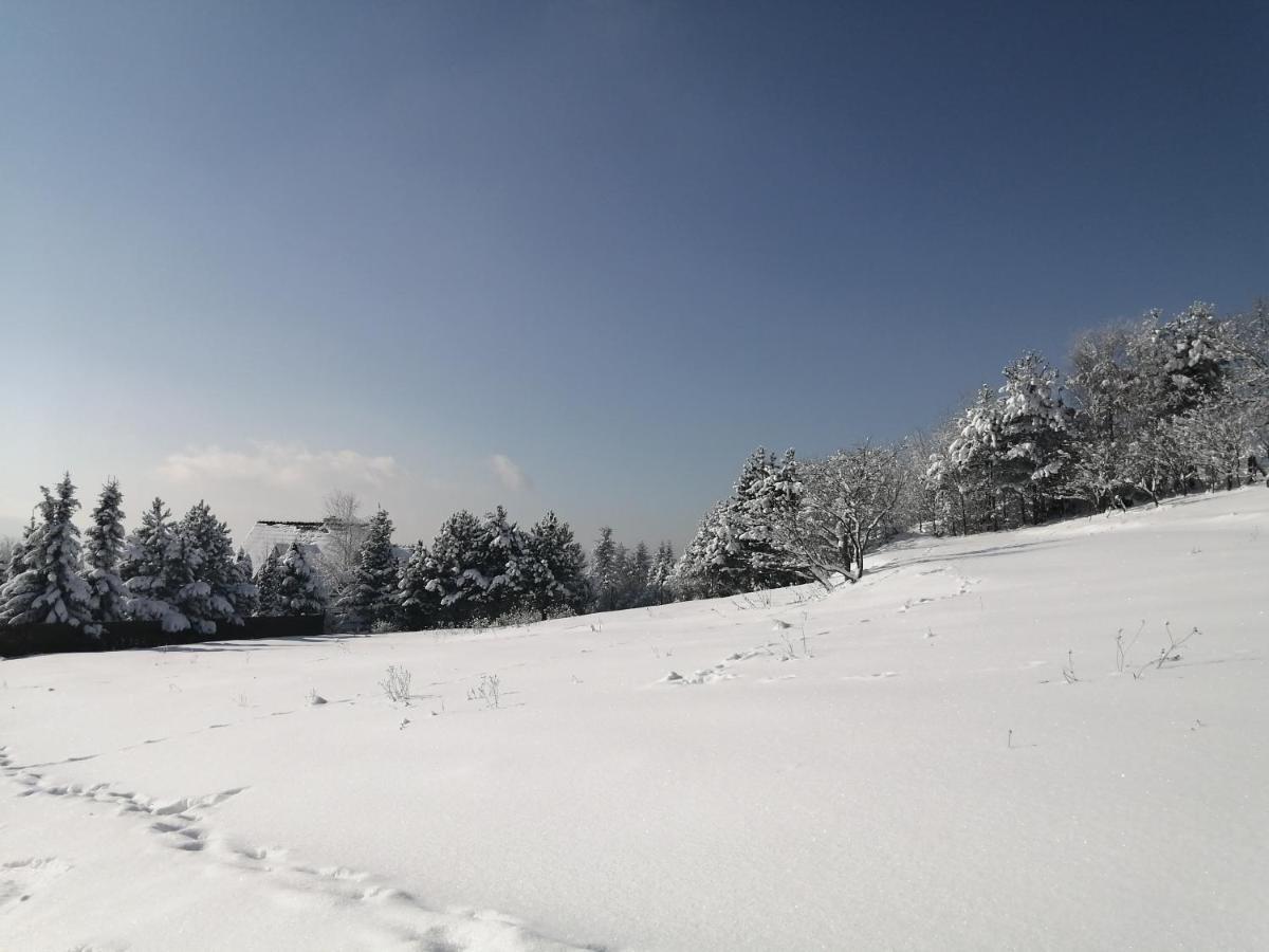 Góralska Ostoja Vila Pcim Exterior foto